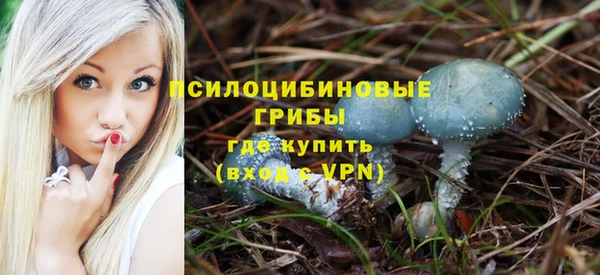 гидропоника Снежногорск