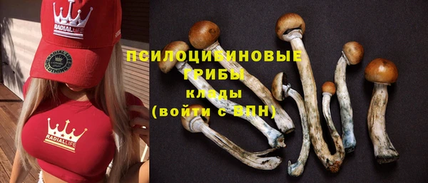 гашиш Богородицк