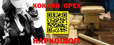 шишки Кингисепп