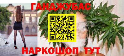 шишки Кингисепп