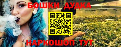 шишки Кингисепп