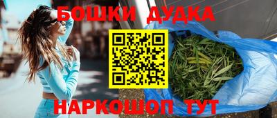 шишки Кингисепп