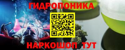 шишки Кингисепп