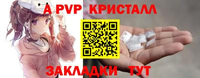 шишки Кингисепп