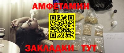 шишки Кингисепп