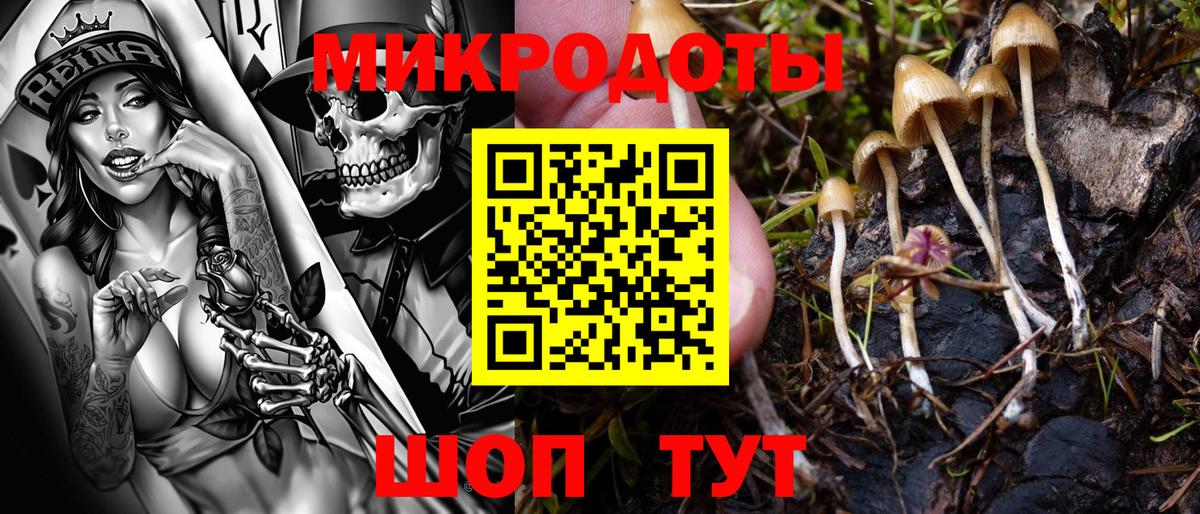 Галлюциногенные грибы Magic Shrooms Лыткарино