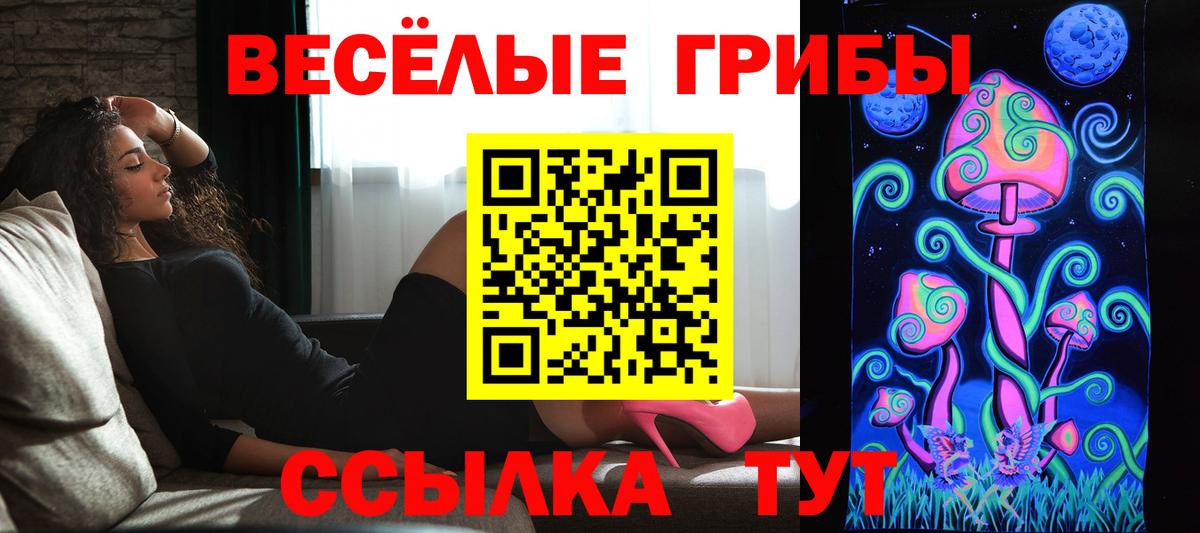 Галлюциногенные грибы GOLDEN TEACHER  купить наркоту  Лыткарино  Вход с VPN 